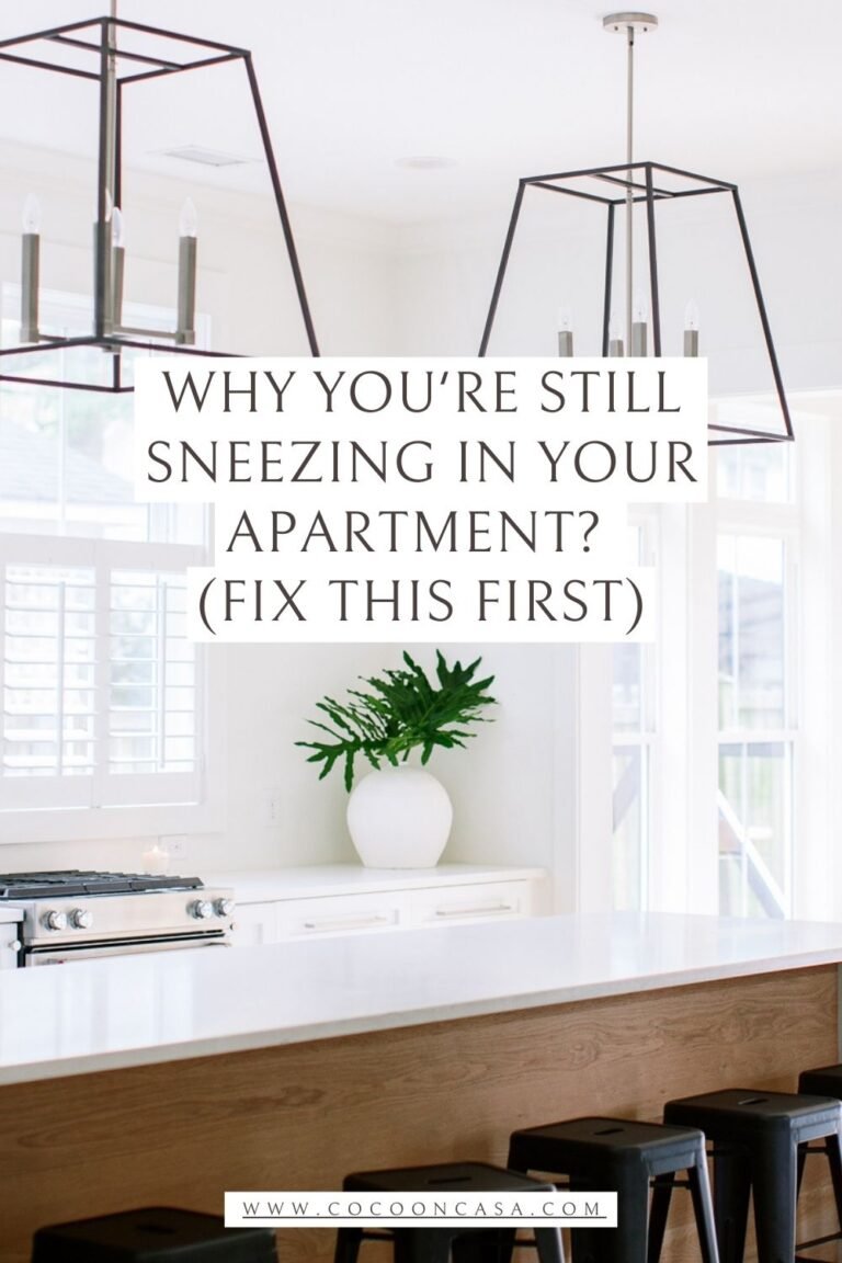 10 Best Air Purifiers for Allergies | Small Apartment Deals